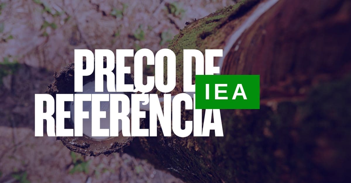 Novo Preço-Referência do IEA para a Borracha Natural – Maio de 2025