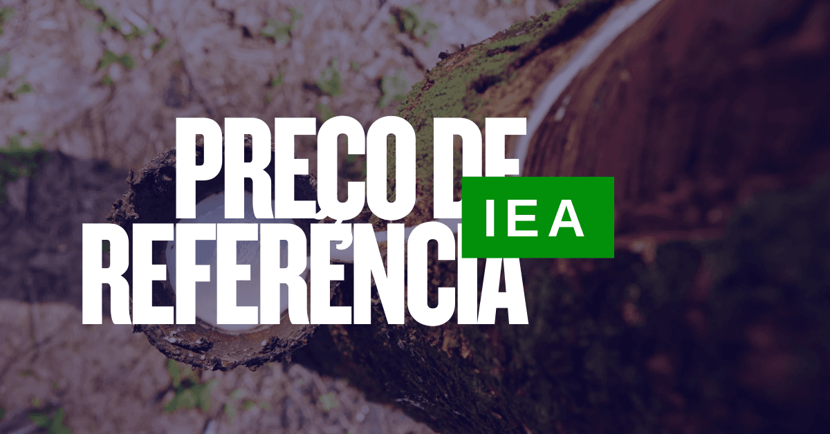 IEA reajusta preço de referência da borracha natural para R$ 13,16/kg em julho de 2025